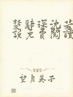 楚辞琛沈若京小说免费阅读无弹窗正版