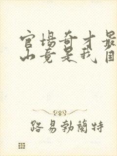 官场奇才最强靠山竟是我自己全文