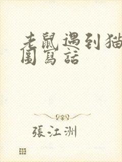 老鼠遇到猫的看图写话