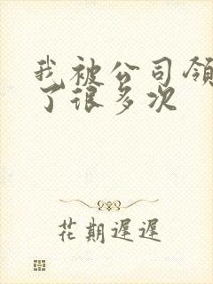 我被公司领导C了很多次封面