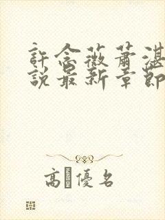 许念薇萧湛明小说最新章节免费阅读