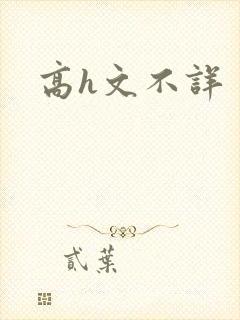 高h文不详
