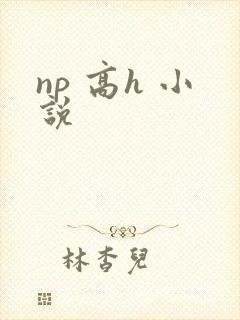np 高h 小说