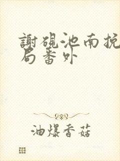 谢砚池南挽大结局番外