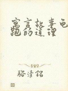 寓言故事龟兔赛跑的道理