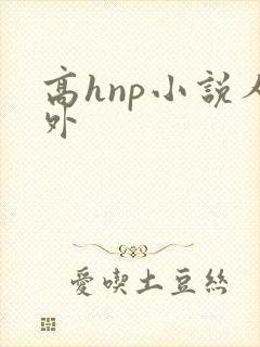 高hnp小说人外