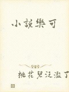 小说乐可