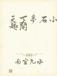 天下梦石小说笔趣阁