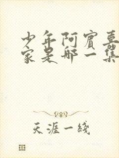 少年阿宾嘉佩回家是哪一集