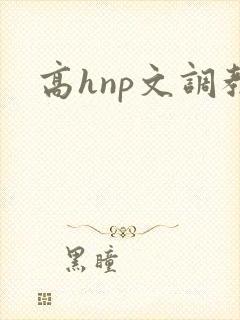 高hnp文调教