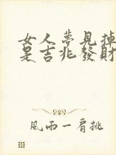 女人梦见掉茅坑是吉兆发财