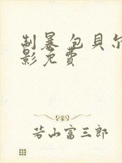 制暴 包贝尔电影免费