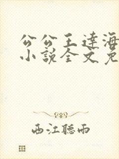 公公王达海芷晴小说全文免费阅读