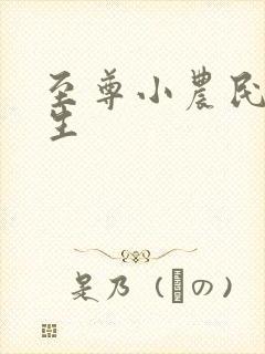 至尊小农民王木生