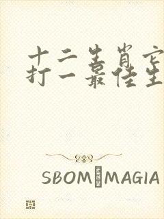 十二生肖它第一打一最佳生肖