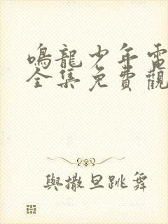 鸣龙少年电视剧全集免费观看高清