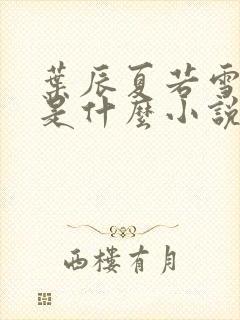 叶辰夏若雪孙怡是什么小说