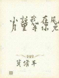 小说我在风花雪月里等你免费阅读