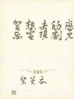 贺想去的恋恋不忘电视剧免费封面