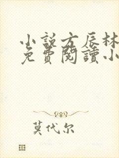 小说方辰林雪妍免费阅读小说