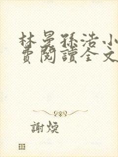 林曼孙浩小说免费阅读全文最新章节封面