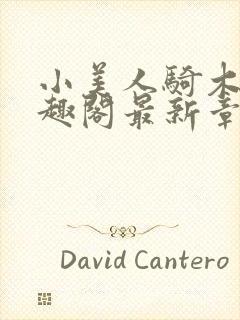 小美人骑木马笔趣阁最新章节免费阅读