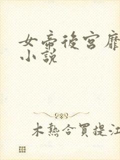 女帝后宫靡乱史小说封面