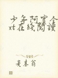 少年阿宾全集txt在线阅读封面