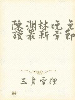 陈渊林晚免费阅读最新章节