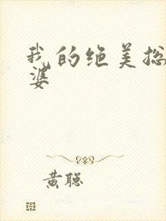 我的绝美总裁老婆