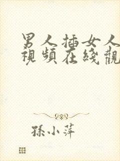 男人插女人的逼视频在线观看