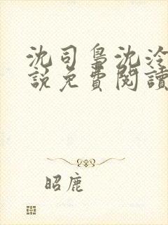 沈司枭沈泠初小说免费阅读最新章节