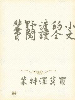 裴野渡的小说免费阅读全文