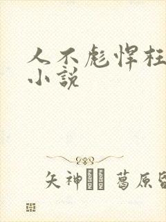 人不彪悍枉少年小说封面