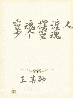 灵魂摆渡人有多少个灵魂