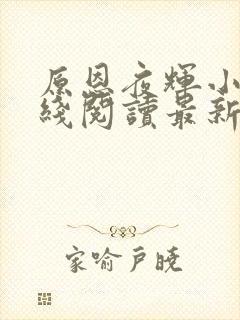 原恩夜辉小说在线阅读最新章节