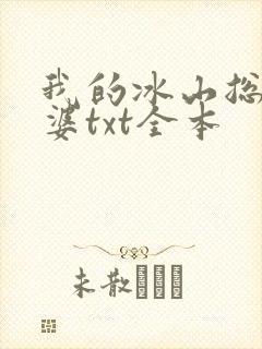 我的冰山总裁老婆txt全本封面