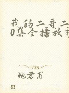 我的二哥二嫂40集全播放视频封面