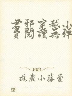 君邪穿越小说免费阅读无弹窗封面