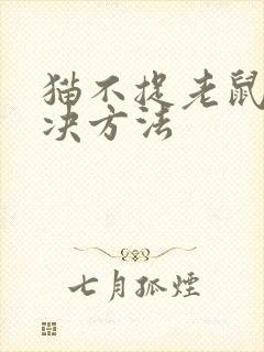 猫不捉老鼠的解决方法