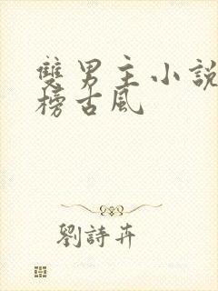 双男主小说排行榜古风