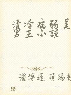 清冷病弱美人双男主小说