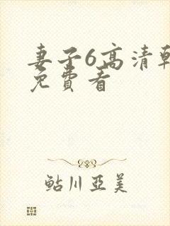 妻子6高清韩剧免费看封面