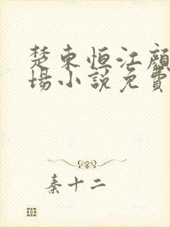 楚东恒江颜的官场小说免费阅读封面