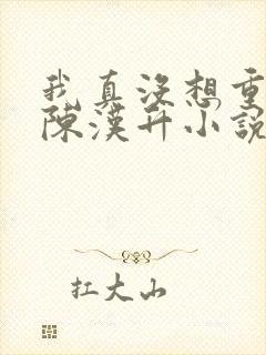 我真没想重生啊陈汉升小说无弹窗