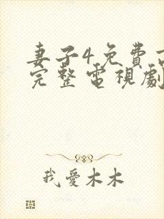 妻子4免费高清完整电视剧