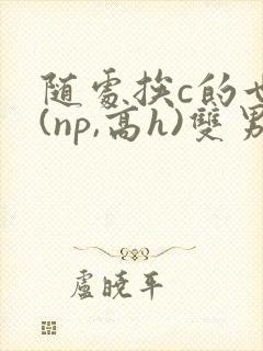 随处挨c的世界(np,高h)双男