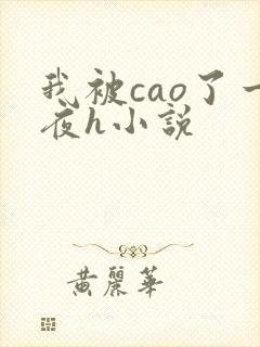 我被cao了一夜h小说