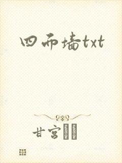 四面墙txt