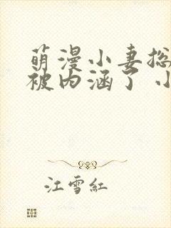 萌漫小妻总裁你被内涵了 小说封面